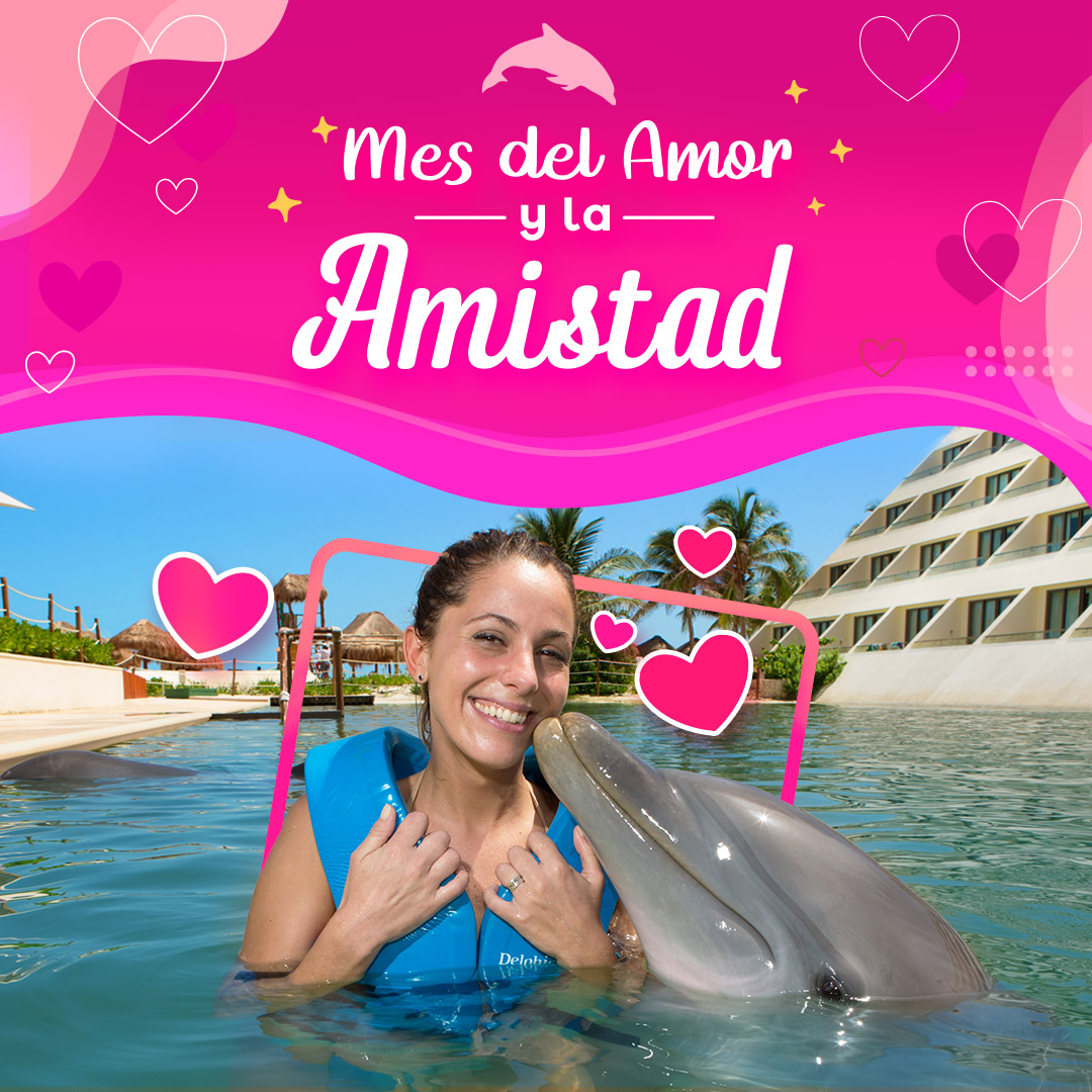 Febrero mes amor y amistad nado con delfines cancun riviera maya