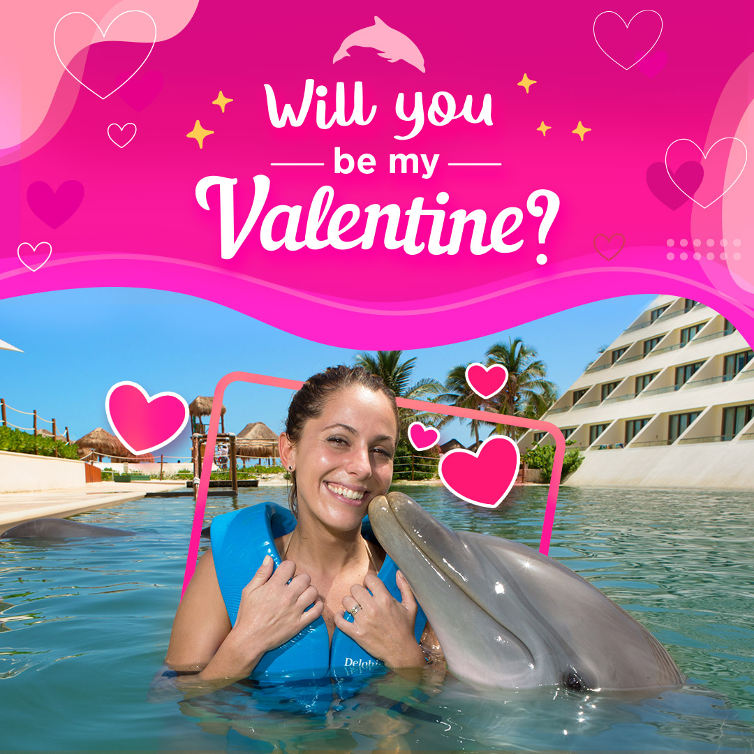 Valentine swim with dolphins cancun riviera maya
