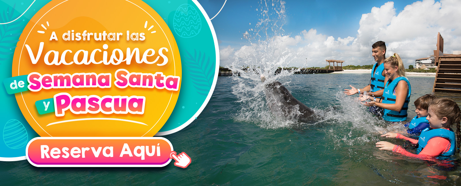 Nado con delfines semana santa cancun riviera maya