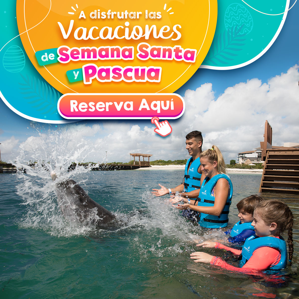 Nado con delfines semana santa cancun riviera maya