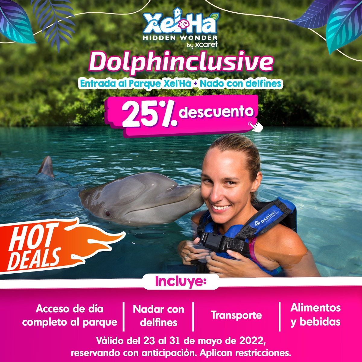 Nado con delfines en parque xel-ha hot deals