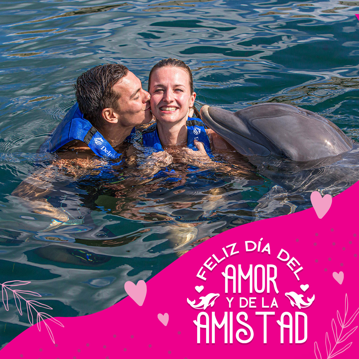 Nado con delfines en cancun y riviera maya