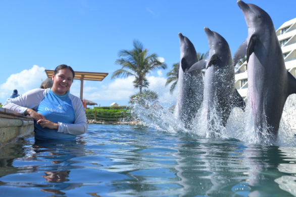 Delphinus: la primera institución en México con la certificación internacional Humane Conservation