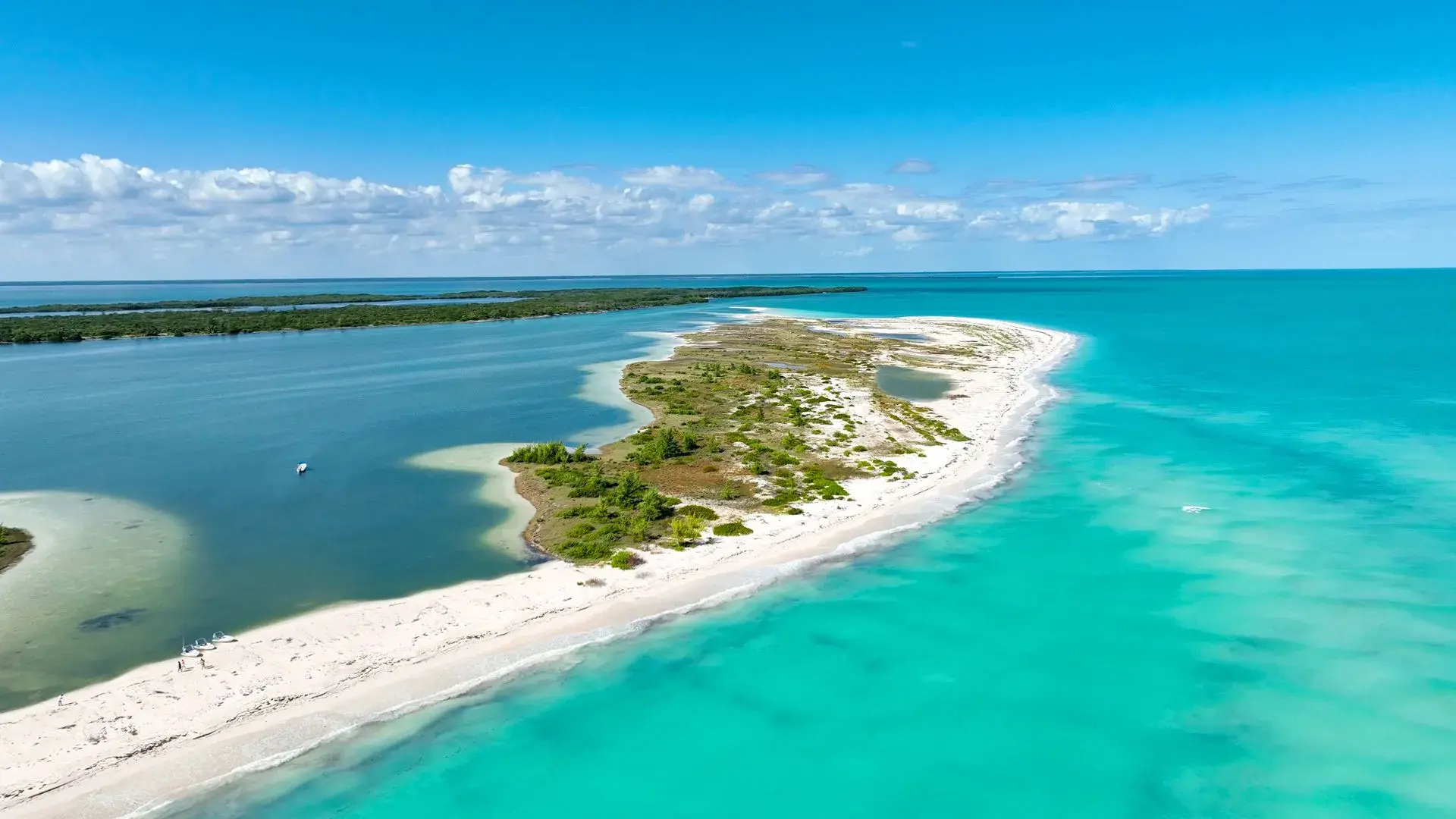 Costa Mujeres: discover this paradise north of Cancún