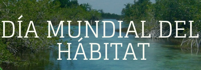 dia-mundial-del-habitat-delphinus-educacion-ambiental
