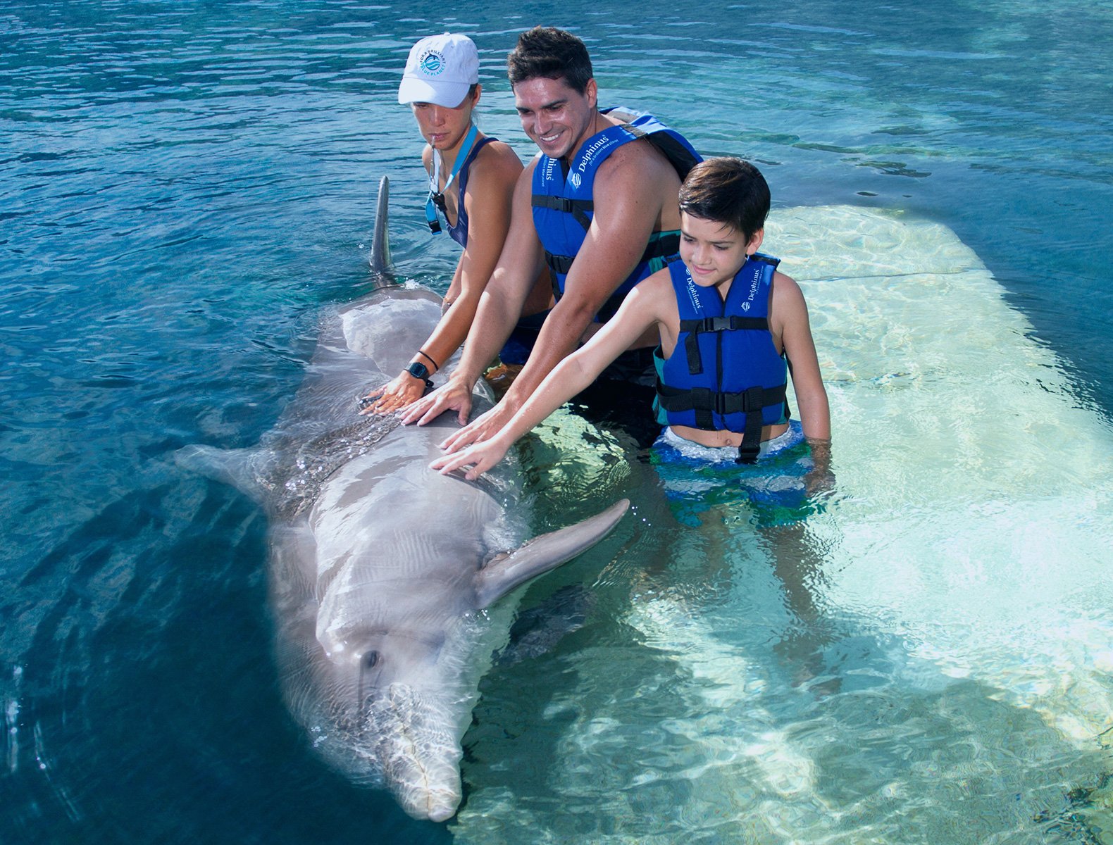 cancun excursions swimming with dolphins