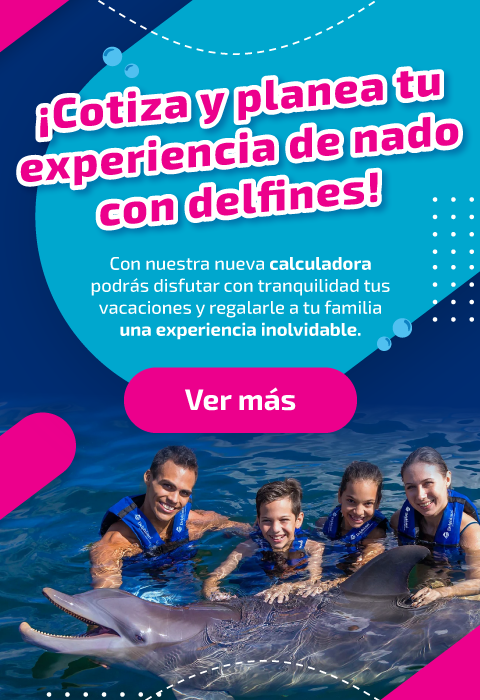 Delphinus_Banner1_responsive