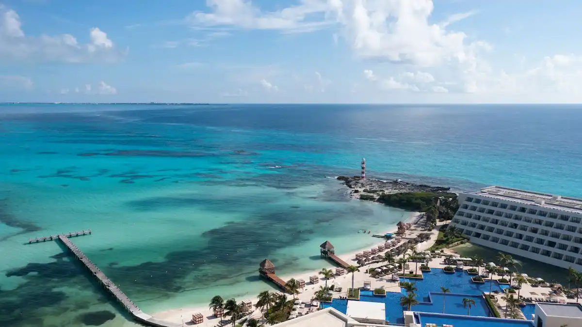 All You Need to Know About Swimming with Dolphins in Punta Cancun