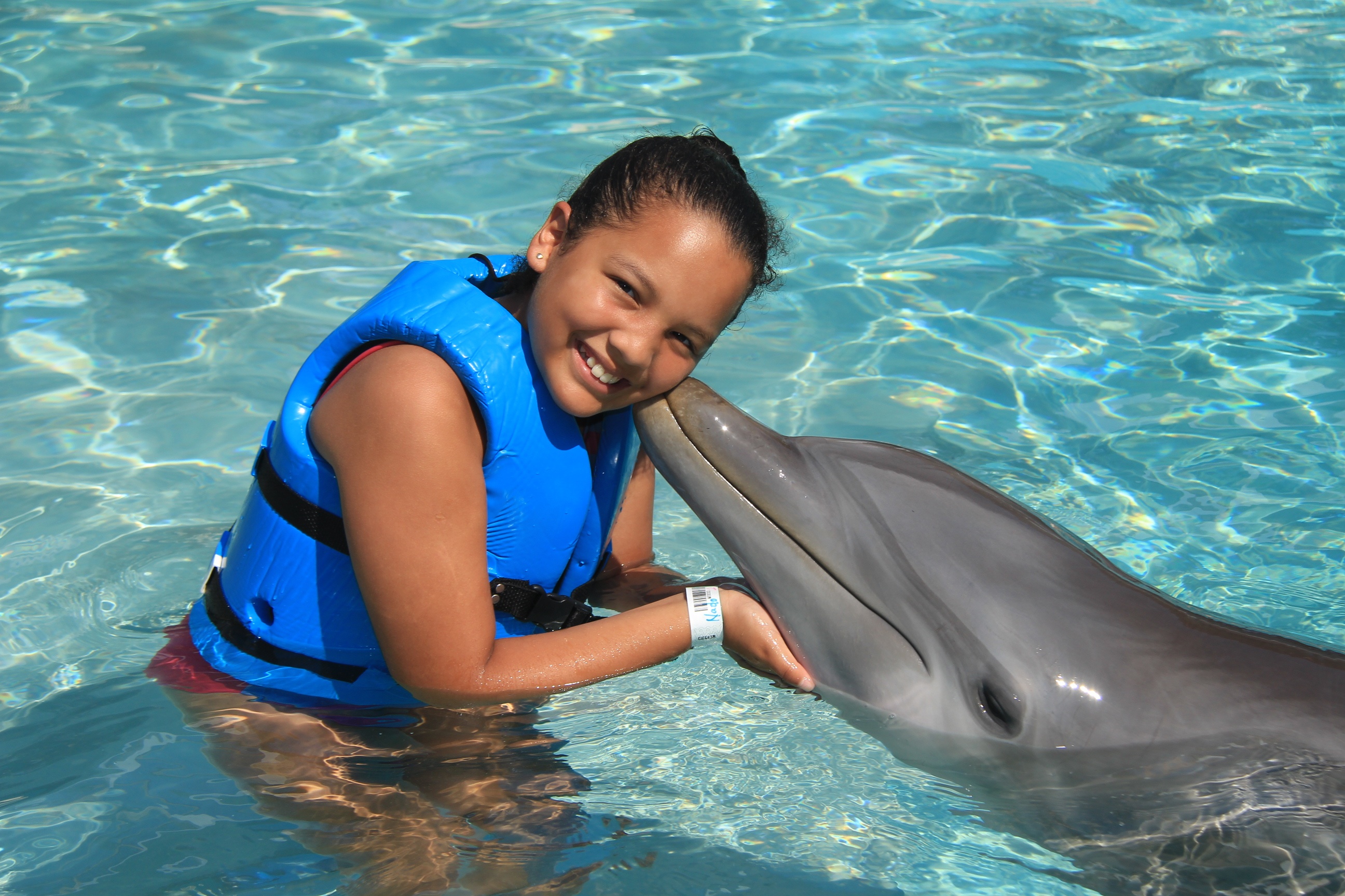 how much is it to swim with dolphins in mexico