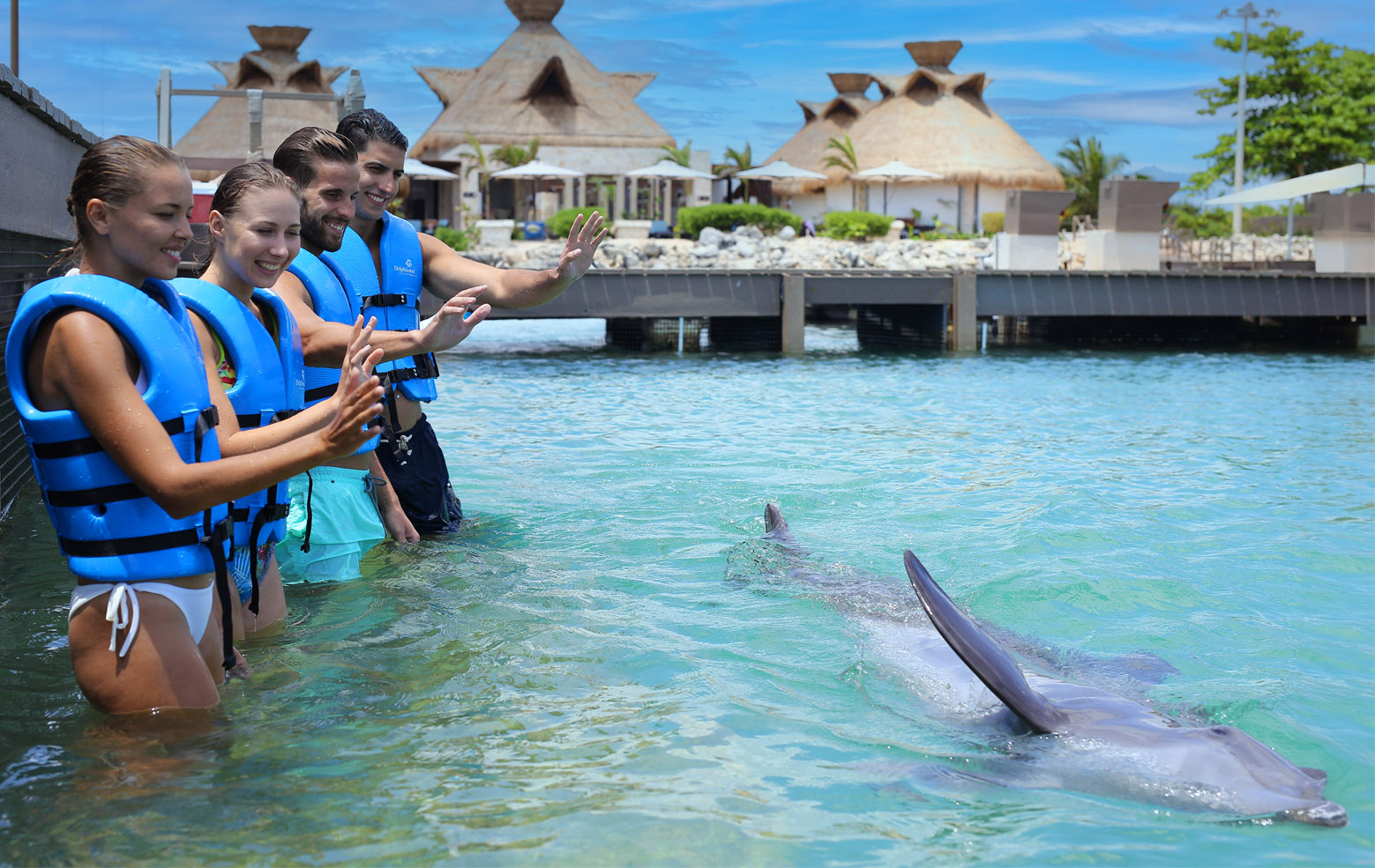 Interax Delphinus Puerto Morelos