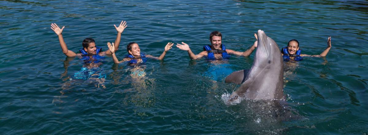 Las 5 mejores actividades acuáticas en Cancún