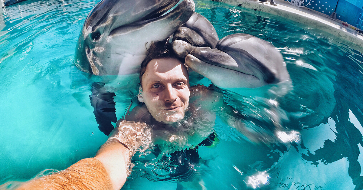 Nado con delfines riviera maya- Delphinus