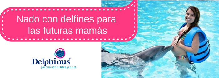 Nado con delfines para las futuras mamás