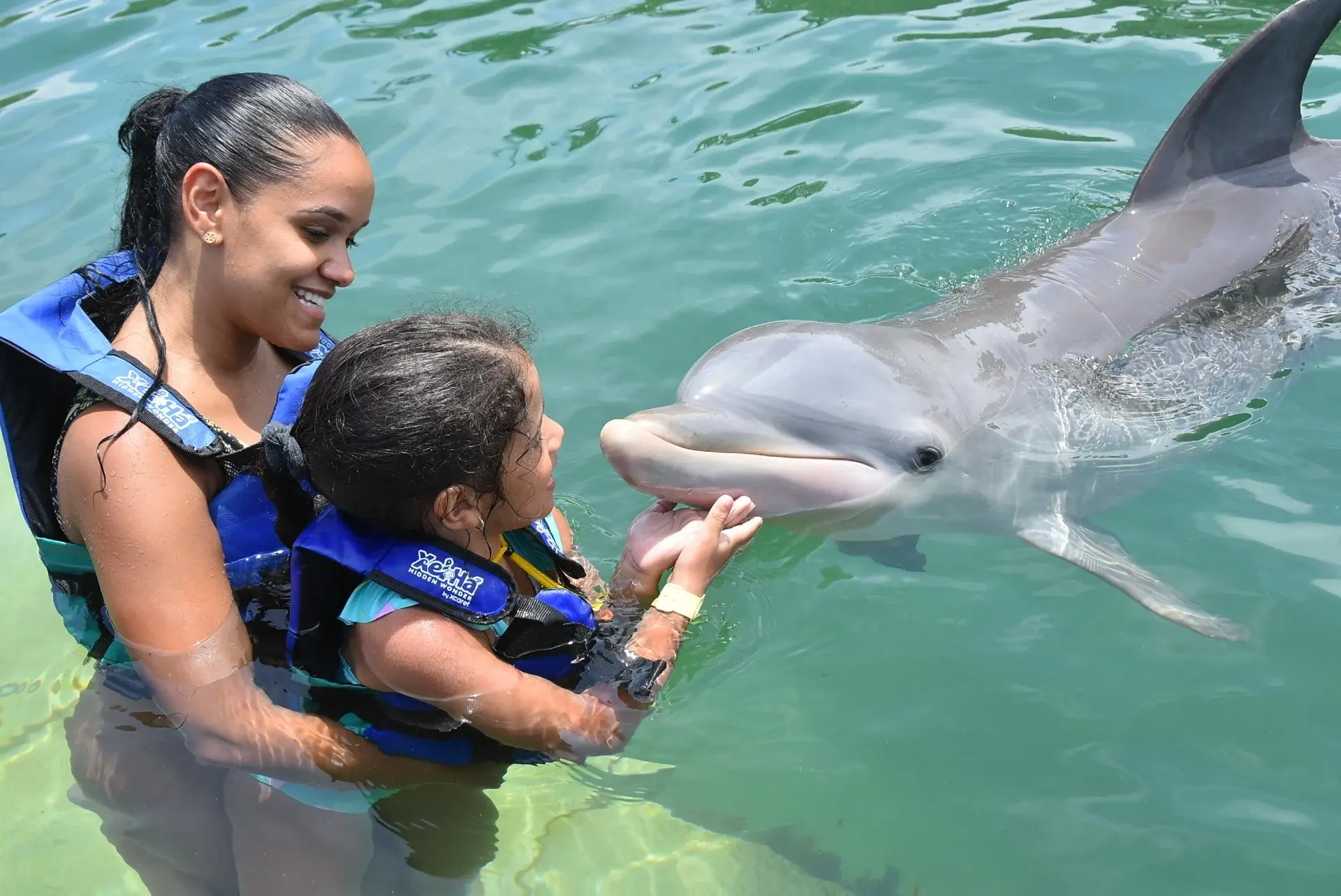 ¡Vive un nado con delfines perfecto para niños!
