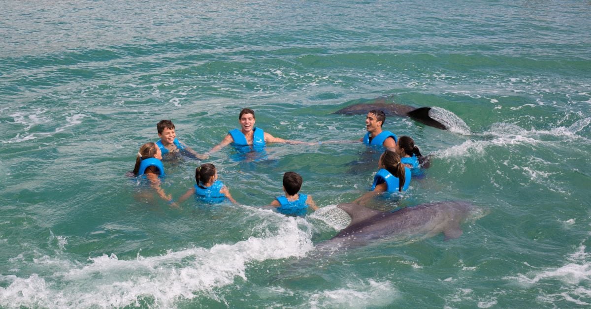 Nadar con delfines en la Riviera Maya