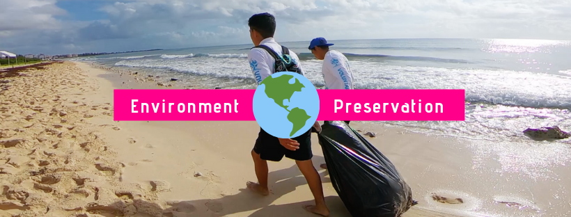 All you Need to Know about Delphinus' Sustainability Program