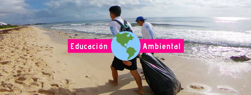 Conoce el programa de educación ambiental Delphinus