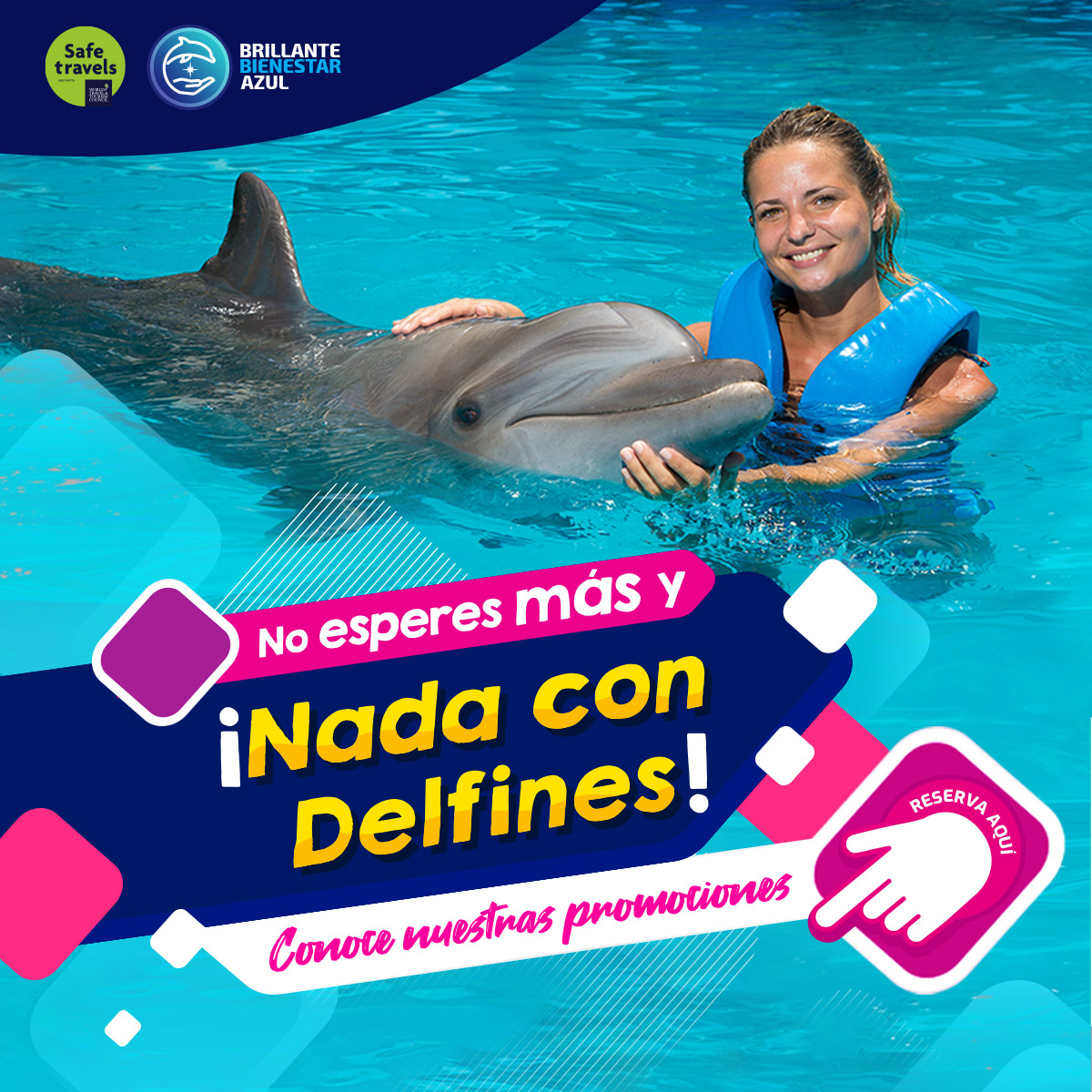 nado con delfines en cancun y riviera maya