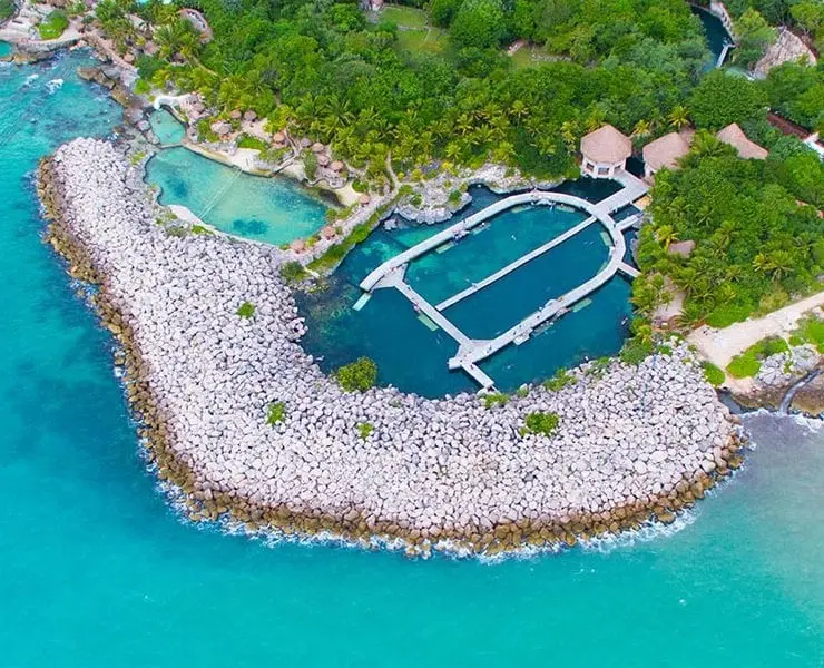Delphinus Riviera Maya