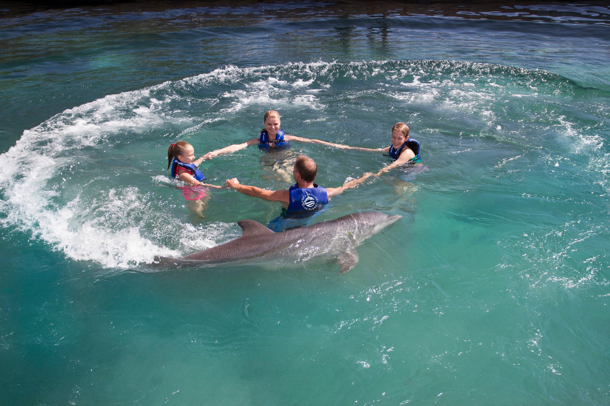 Sección de paquetes y programas disponibles en Delphinus
