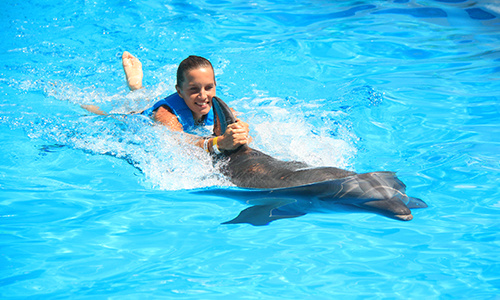 ¿Nado con delfines Ride o Splash? Conoce las diferencias