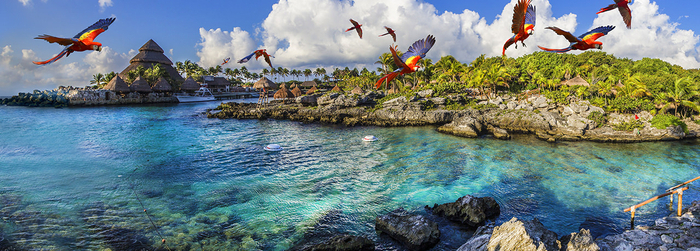 cómo llegar a xcaret 