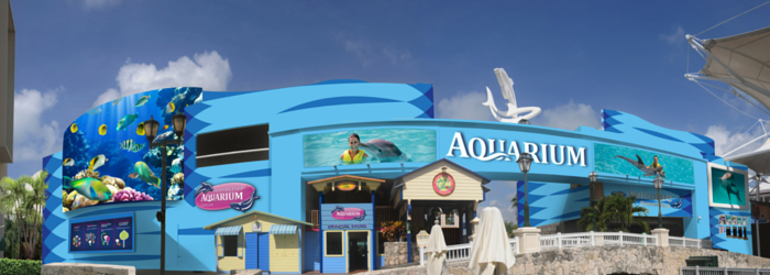Must-do activities in Cancun during your next summer vacation