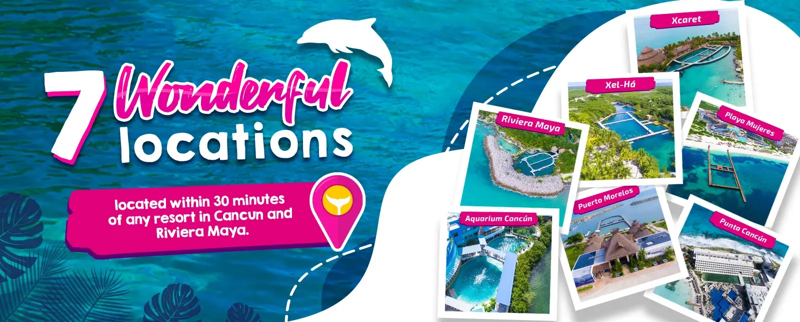 swim with dolphins cancun riviera maya locations