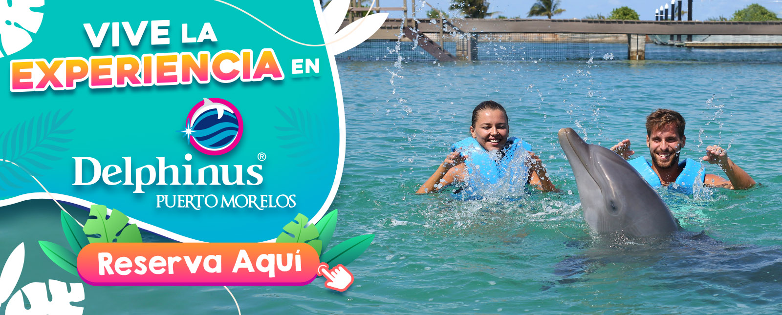 Nado con delfines Delphinus Puerto Morelos