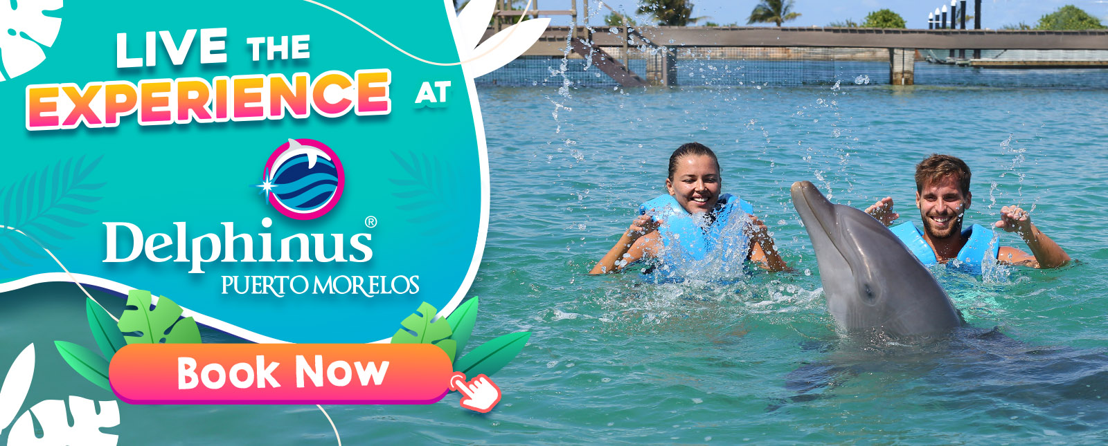 Swim with dolphins Delphinus Puerto Morelos