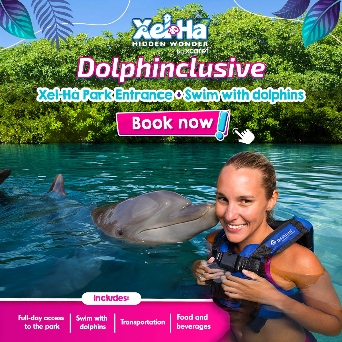Swim with dolphins Delphinus Xel-Há