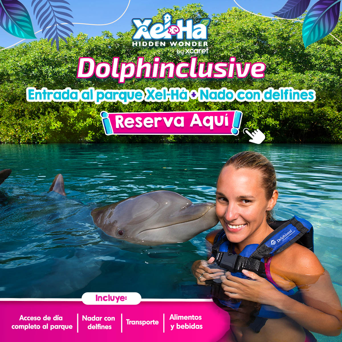 Nado con delfines Cancun y Riviera Maya xelha
