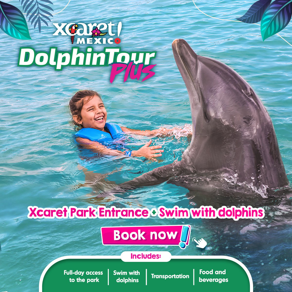 Swim with dolphins Delphinus Xcaret