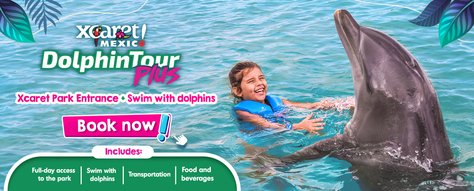 Swim with dolphins Delphinus Xcaret