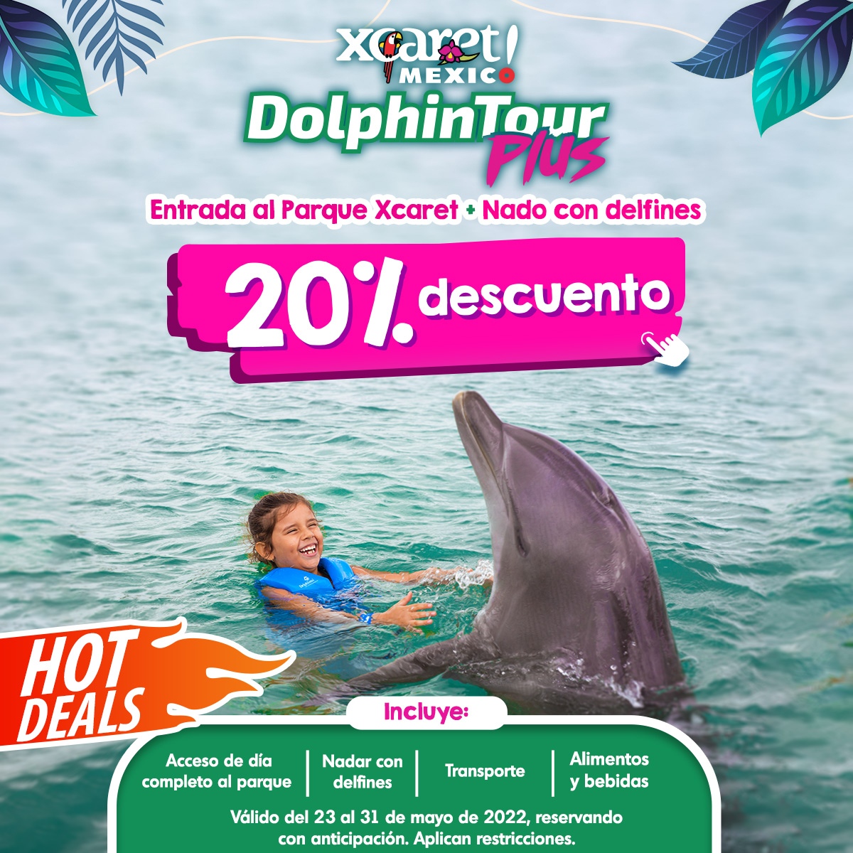 Nado con delfines en parque xcaret hot deals