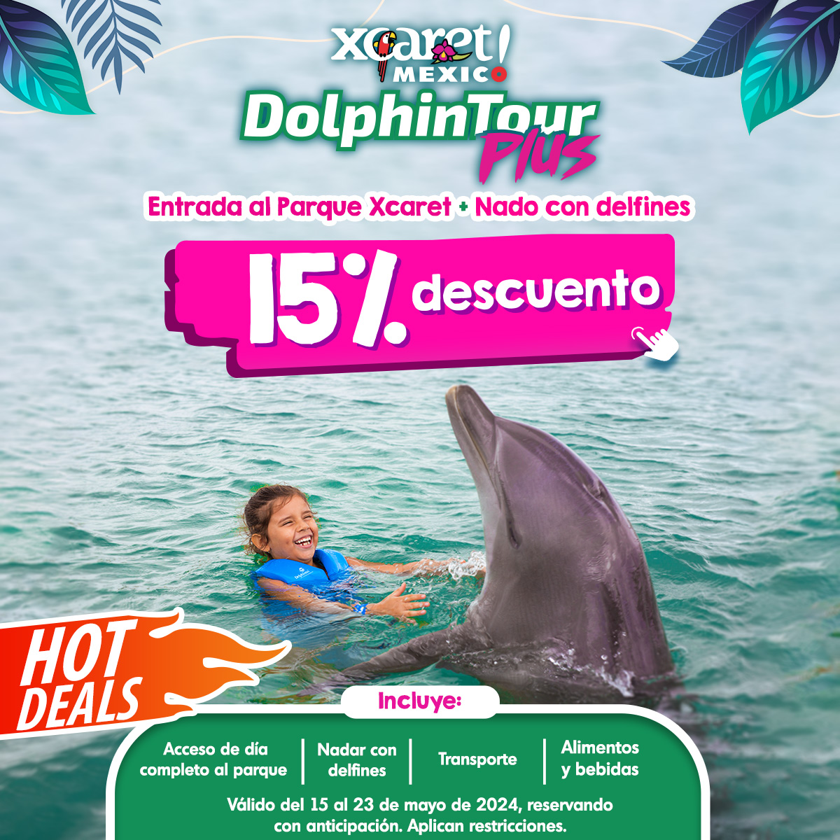 Xcaret nada con delfines cancun riviera maya