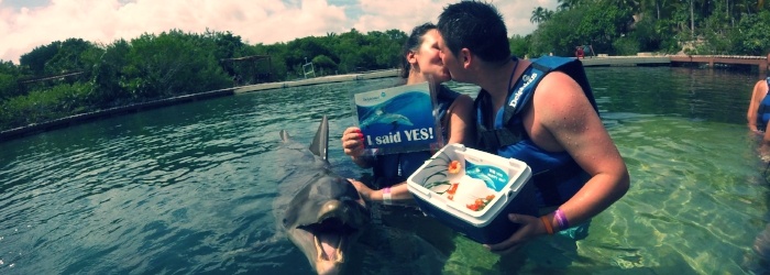 swim-with-dolphins-in-Cancun-proposal