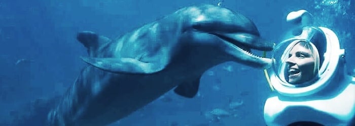 swimming_with_dolphins_in_cancun_sea_trek