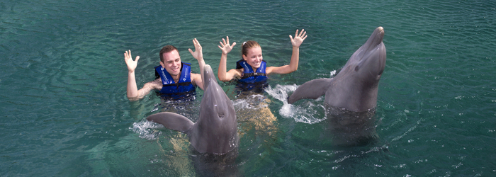 Explore the 3 Most Exclusive Swim with Dolphins Programs in Cancun
