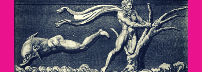 nado-con-delfines-en-cancun-mitologia