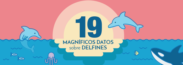 19 magníficos datos sobre delfines [Infografía]