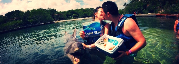 nado-delfines-cancun-matrimonio