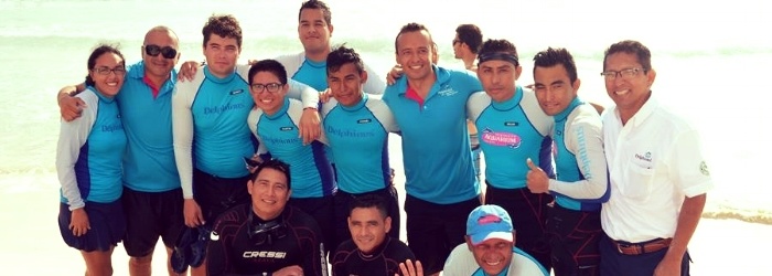 Relato: rescate y reintroducción de delfines en costas de Cancún