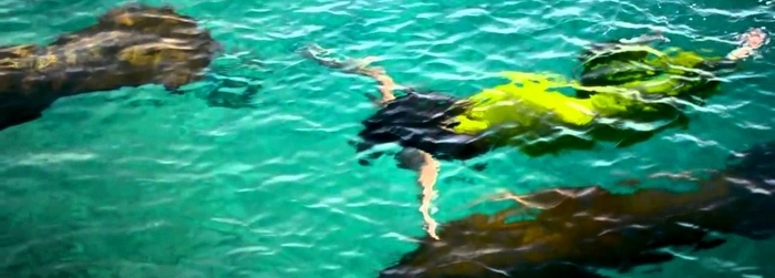 ¡Planea tus vacaciones ecoturísticas en el Caribe!