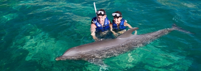 nado-con-delfines-habitat-natural.png