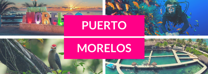 Lo que debes saber sobre Puerto Morelos y sus actividades