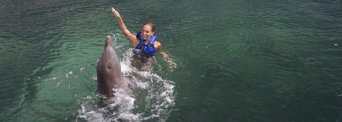 Delphinus: nado con delfines en el Caribe mexicano