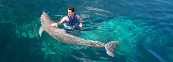 nado-con-delfines-bueno.png