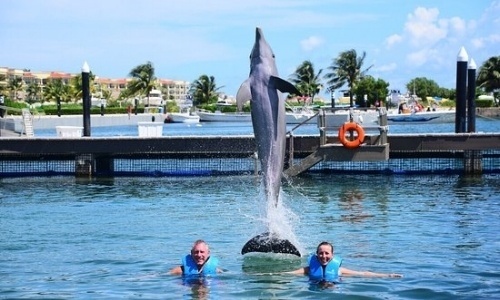 nadar-con-delfines-puerto-morelos.