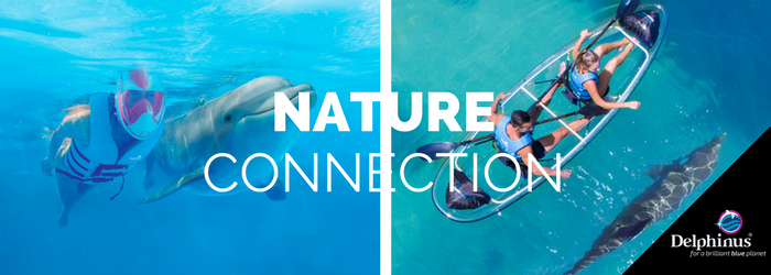 delphinus-Nature-connection-nado-con-delfines